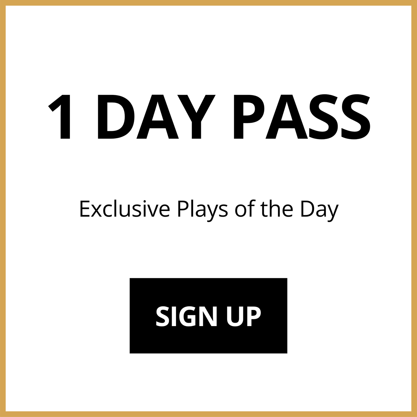 1 DAY PASS